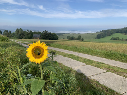 Wa Wandern nach Seiffen
