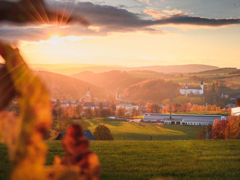 Blick vom Goldhübel auf Neuhausen im Flöhatal