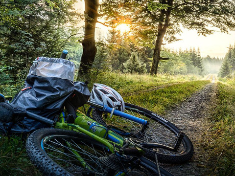 Top-Mountainbike-Gebiet am Goldhübel