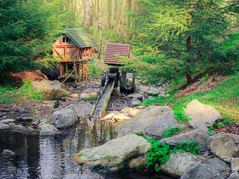 Schöne kleine Wanderziele im Erzgebirgswald