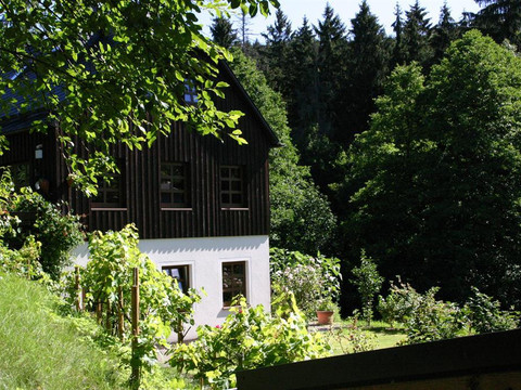 Haus_am_Wald