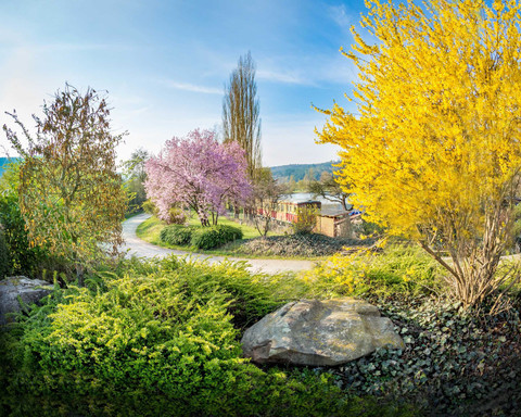 Wohnmobilstellplatz Camping- und Ferienpark Teichmann.jpg