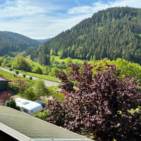 Klosterquelle, Aussicht Reichenbachtal
