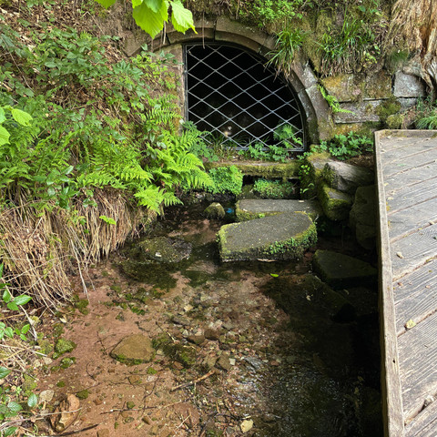 Klosterquelle, Klosterquelle