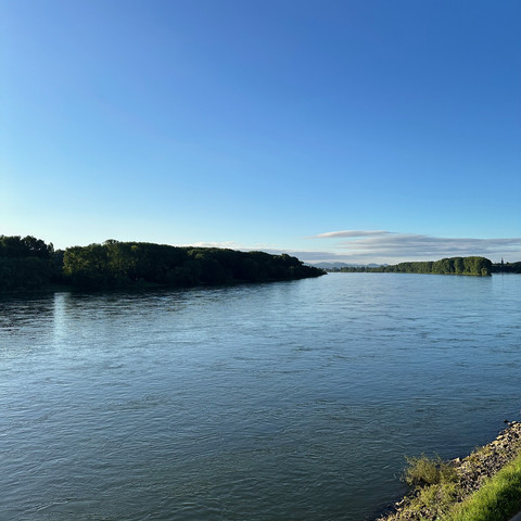 Rhein