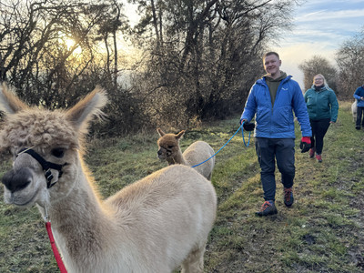 Outdoor Aktiv - Wanderung mit Alpakas  Outdoor Aktiv - Wanderung mit Alpakas