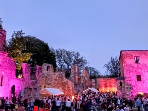 Schlossruine Hartenstein (c) Ines Adner.jpg