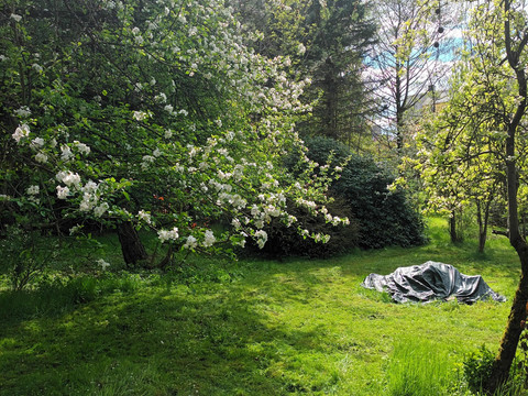 Garten