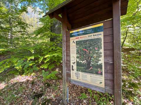 Lehrtafel am Lehrpfad "Zu den sieben Teichen"