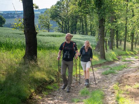 VPW Etappe 1 (Netzschkau - Jocketa)