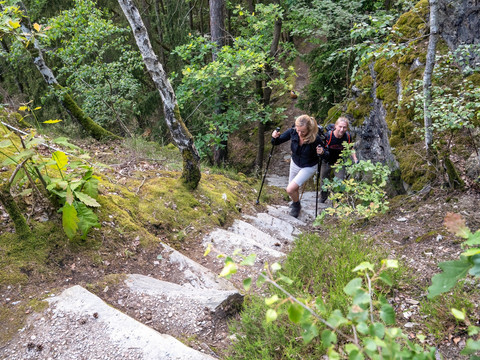 VPW Etappe 1 (Netzschkau - Jocketa) - Steinicht