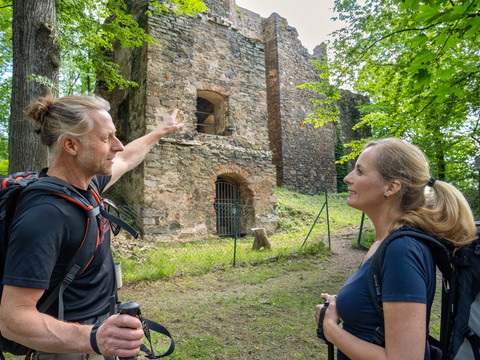 VPW Etappe 1 (Netzschkau - Jocketa) - Burgruine Liebau