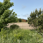 Reitschule Olivenhof Reitplatz