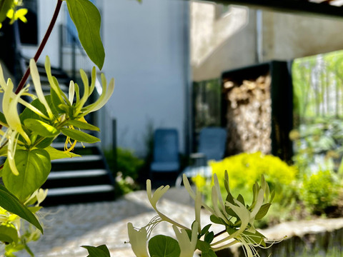 Marktquartier 5 Garten 6