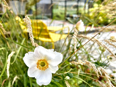 Marktquartier 5 Garten 13