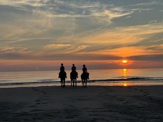Pferde am Strand bei Sonnenuntergang.jpeg