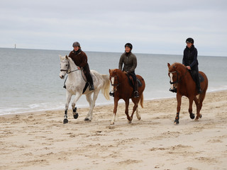 Ausritt am Strand.jpeg