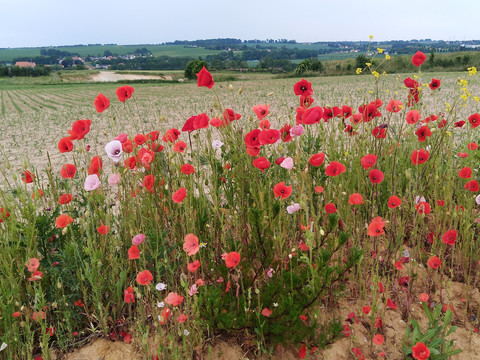 Blick auf das Döllnitztal in Mügeln
