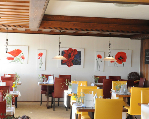 Belvedere-Bio-Hotel garni & Suite Hotel am Edersee