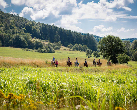 Camping- und Ferienpark Teichmann (1).jpg