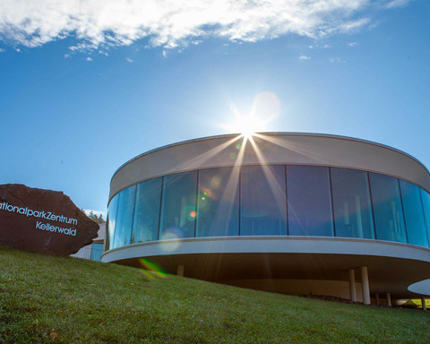 Camping- und Ferienpark Teichmann (16).jpg