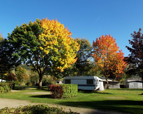Camping- und Ferienpark Teichmann (28).jpg