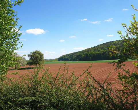 Ferienhaus 'Blockhaus'