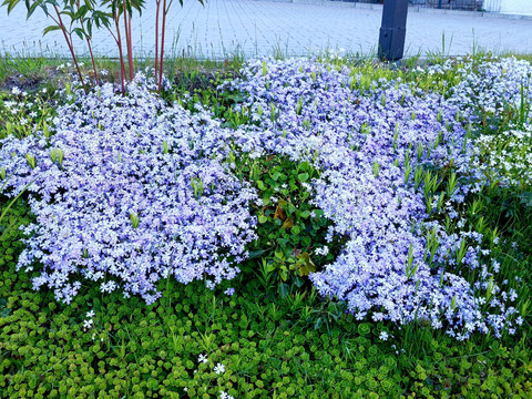 private GÄSTE-PARKFLÄCHE am Ferienhaus