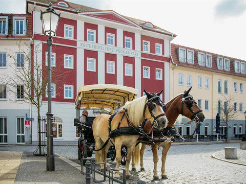 KFP_ (225 von 227)_tn