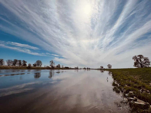 Elbe