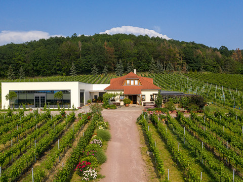 Weingut Matyas