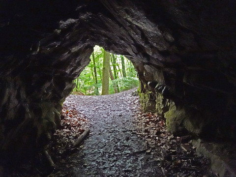 Bärenhöhle Blick aus einer felsigen, dunklen Höhle in einen grünen, lichterfüllten Wald voller Bäume und Blätter.
