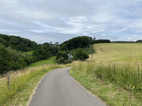Hexenpfad Dorf Olpe Ein schmaler asphaltierter Weg schlängelt sich durch sanfte, grüne Hügel und Wiesenlandschaften.