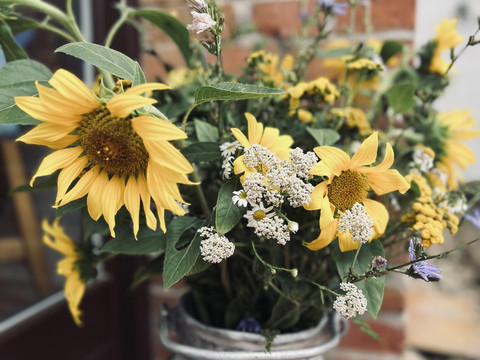 Blumen