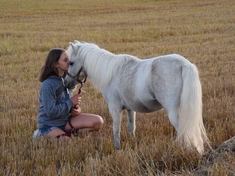 Unser Pony