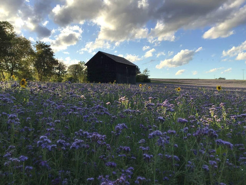 Feldscheune