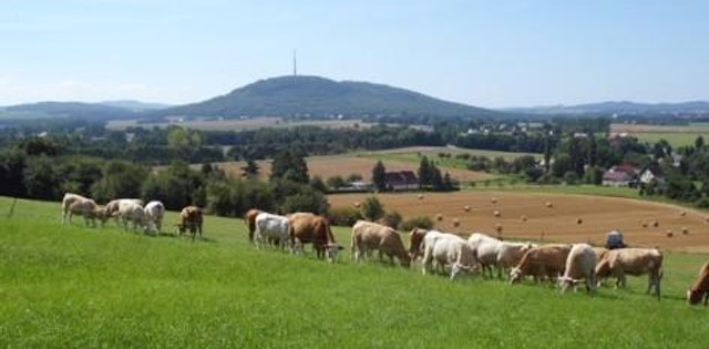 Blick in die Landschaft