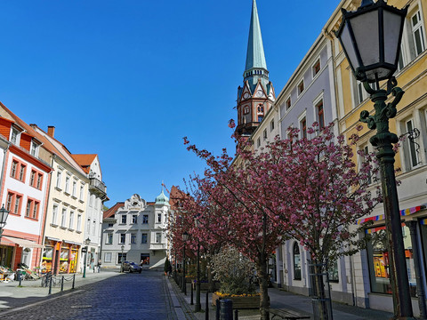 Bluetezeit_Nicolaistrasse_04-2020-5
