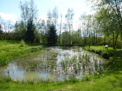 Schloss Issigau - Weiher