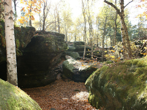 Labyrint Sächsische Schweiz