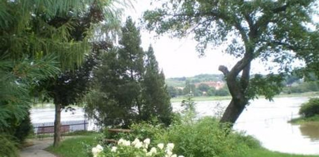 Blick in den Garten © FW Familie Dietrich