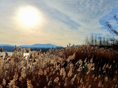 Olbersdorfer See - 20 Minuten Fußweg