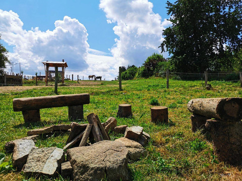 Gutshof_Schirgiswalde_Außenbereich_Koppel