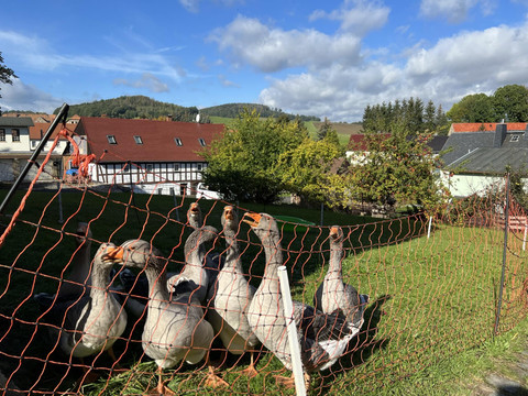 Landleben