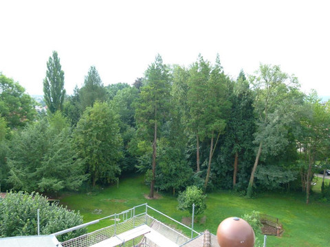 Blick in den Garten