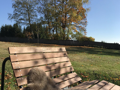 Garten im Herbst