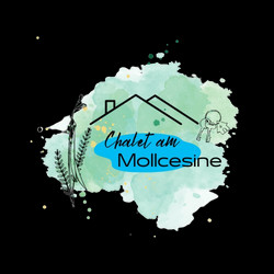 Logo-removebg-preview