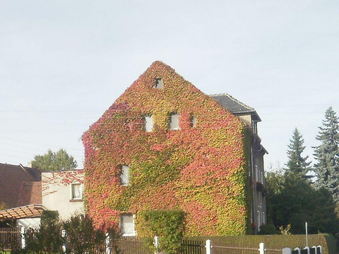 Unser Haus im Herbst