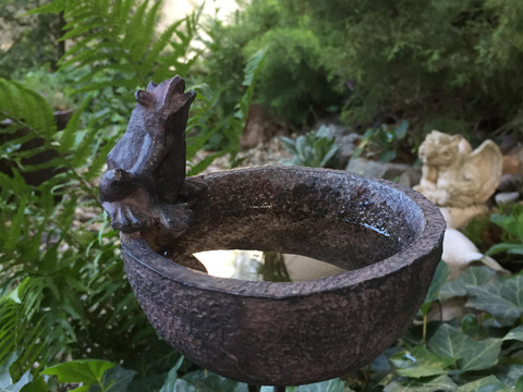 Einblicke aus dem Garten