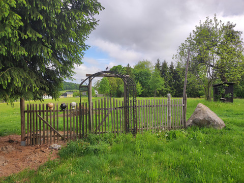 viel Platz im Garten